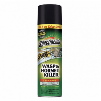 Spectracide Wasp & Hornet Killer  18.5 oz Aerosol