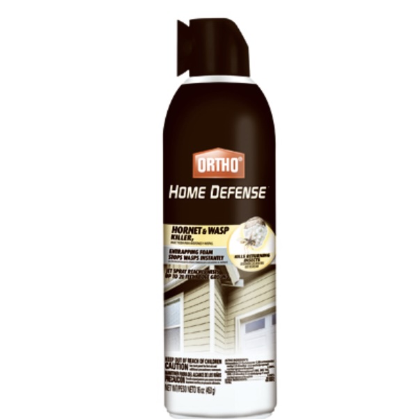 Ortho Hornet & Wasp Killer Foam  16 oz