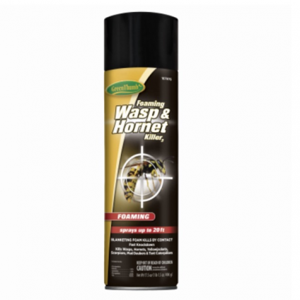 Green Thumb Foaming Wasp & Hornet Spray, 17.5-oz.   