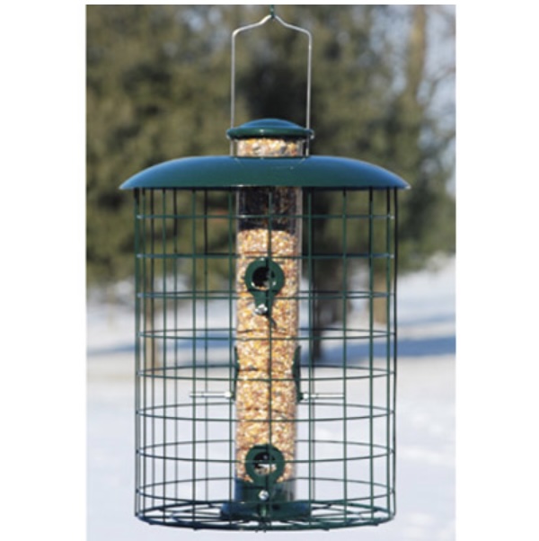 6-Port Squirrel-Resistant Caged Tube Feeder