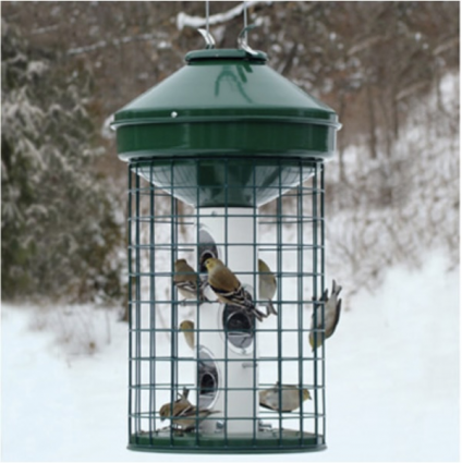 Large Capacity Squirrel-Resistant Bird Feeder