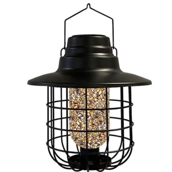 Solar Caged Bird Feeder with LED Light