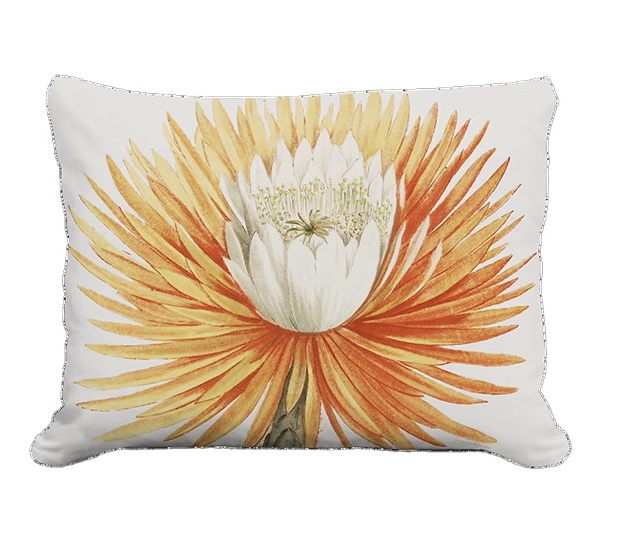 Cactus Blossom Decorative Pillow