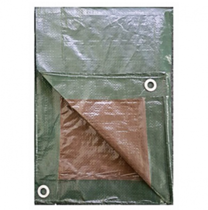 Green & Brown Trap 10' x 12'