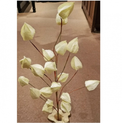 White Physalis Spray 36"
