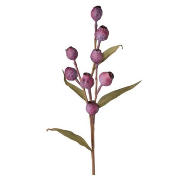 Eucalyptus Pod Plum Spray, 25"