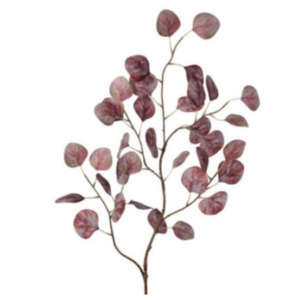 Russet Eucalyptus Spray 38"