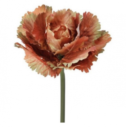Cinnamon Autumn Cabbage Stem 10"