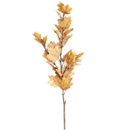 Cream Vermont Maple Spray 47"