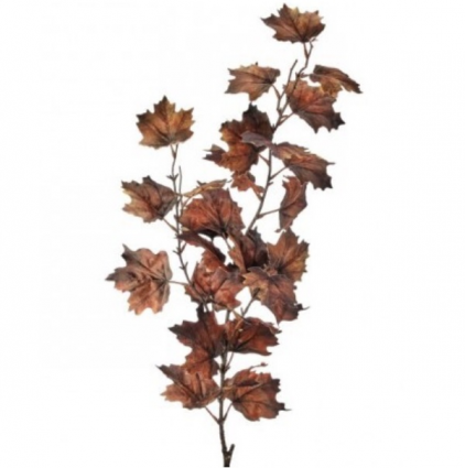 Nutmeg Vermont Maple Spray 47"