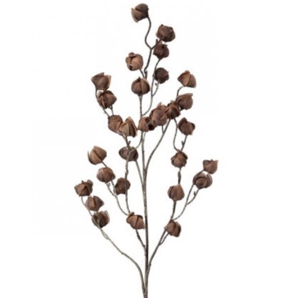 Chinese Lantern Nutmeg Spray 39"