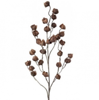 Chinese Lantern Nutmeg Spray 39"