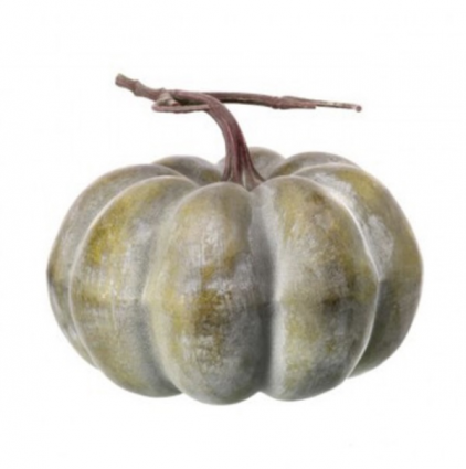 Green Weathered Pumpkin with Vine