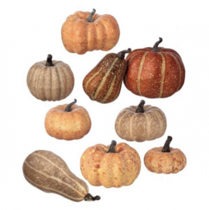 Mixed Pumpkins Box, 9 Pieces (2.5"-5")