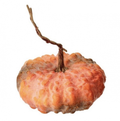 Orange Hybrid Pumpkin 12"