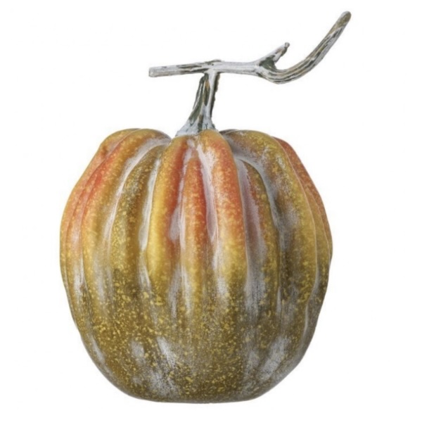 Hybrid Pumpkin with Curved Stem