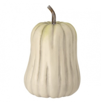 Hybrid Cream Brown Pumpkin 15"