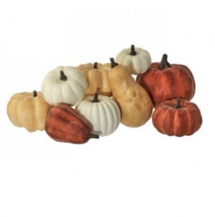 Assortment of 9 Mini Gourds & Pumpkins
