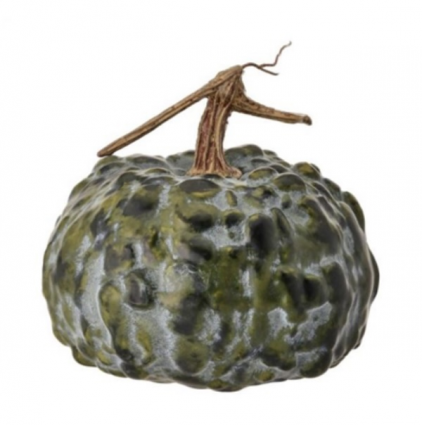 Hybrid Green Cream Pumpkin 8"
