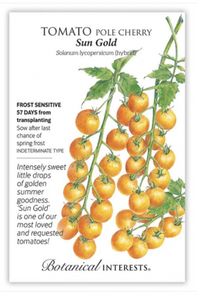 Sun Gold Pole Cherry Tomato Seeds