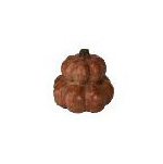 Tangerine Pumpkin  11.5"H  x 12"W