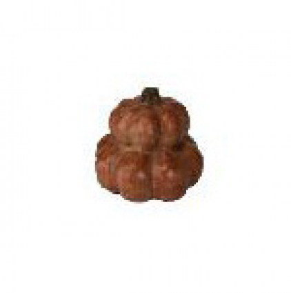 Tangerine Pumpkin  11.5"H  x 12"W