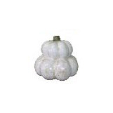 White Pumpkin  11.5"H  x  12"W