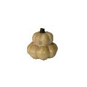 Yellow Pumpkin  11.5"H  x 12"W