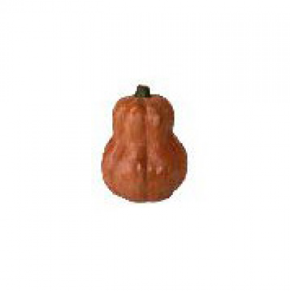 Tall Tangerine Pumpkin 16"H  x 12.5"W