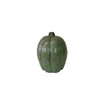 Tall Green Pumpkin 16.5"H  x 13"W