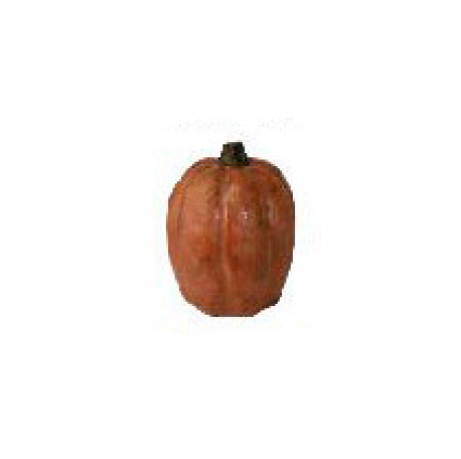 Tall Tangerine Pumpkin  16.5"H  x  13"W