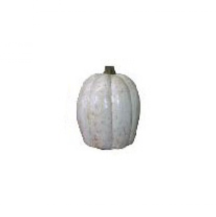 Tall White Pumpkin 16.5"H  x  13"