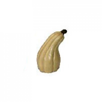 Yellow Curved Pumpkin  18"H  x 13"W