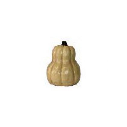 Tall White Pumpkin  16"H  x  12.5"W