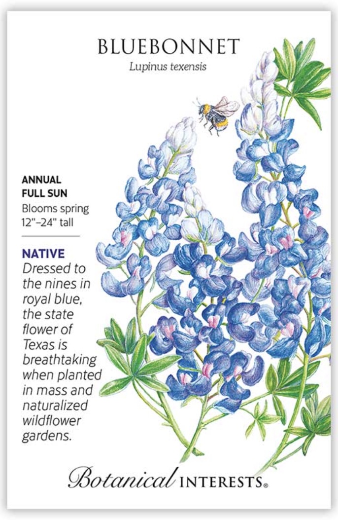 Bluebonnet Seeds