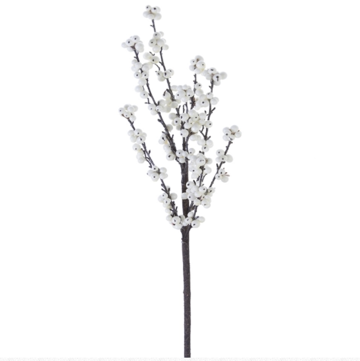 SPRAY, 30" CREAM BERRY