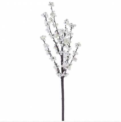 SPRAY, 30" CREAM BERRY