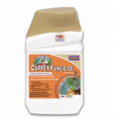 Captain Jacks Copper Fungicide Concentrate 16 oz.