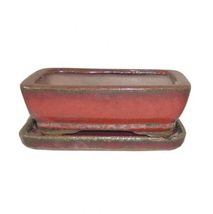 Bonsai Pot with Saucer 4" in Assorted Colors