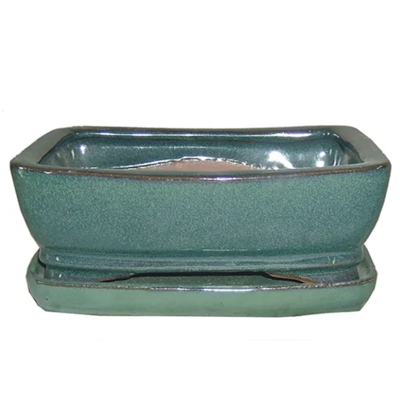 Bonsai Pot with Saucer in Assorted Colors 10"