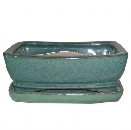 Bonsai Pot with Saucer in Assorted Colors 10"