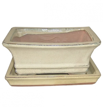Professional Bonsai Pot with Saucer  in  Assorted Colors