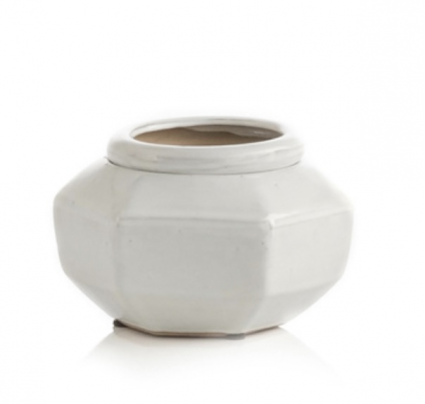 Alpine Self-Watering Octagonal Pot 4"