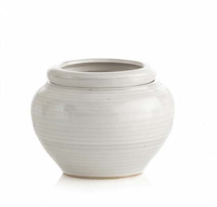 Alpine Self-Water Egg Pot 4":