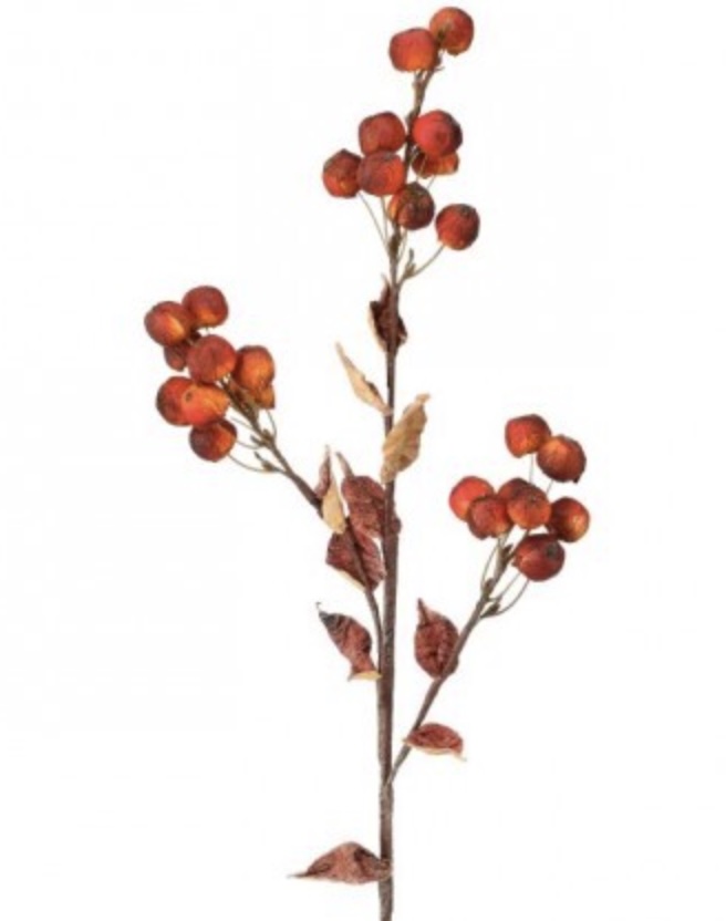 Cinnamon & Spice Wild Crabapple Spray  36"