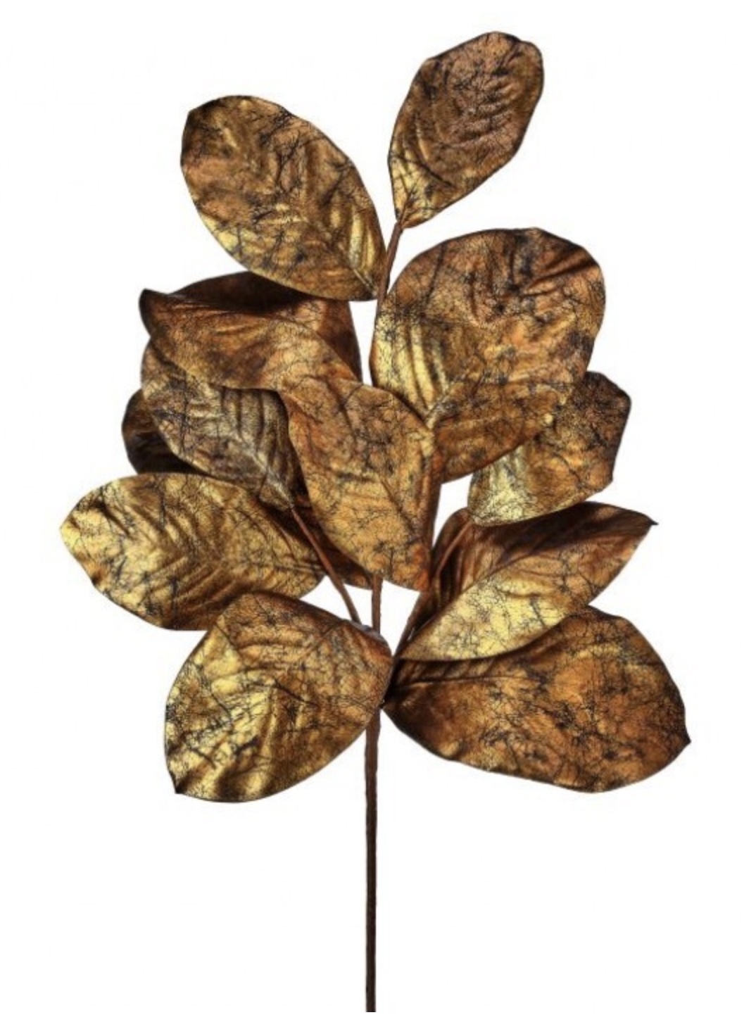Gold Gilded Magnolia Leaf Spray 37"