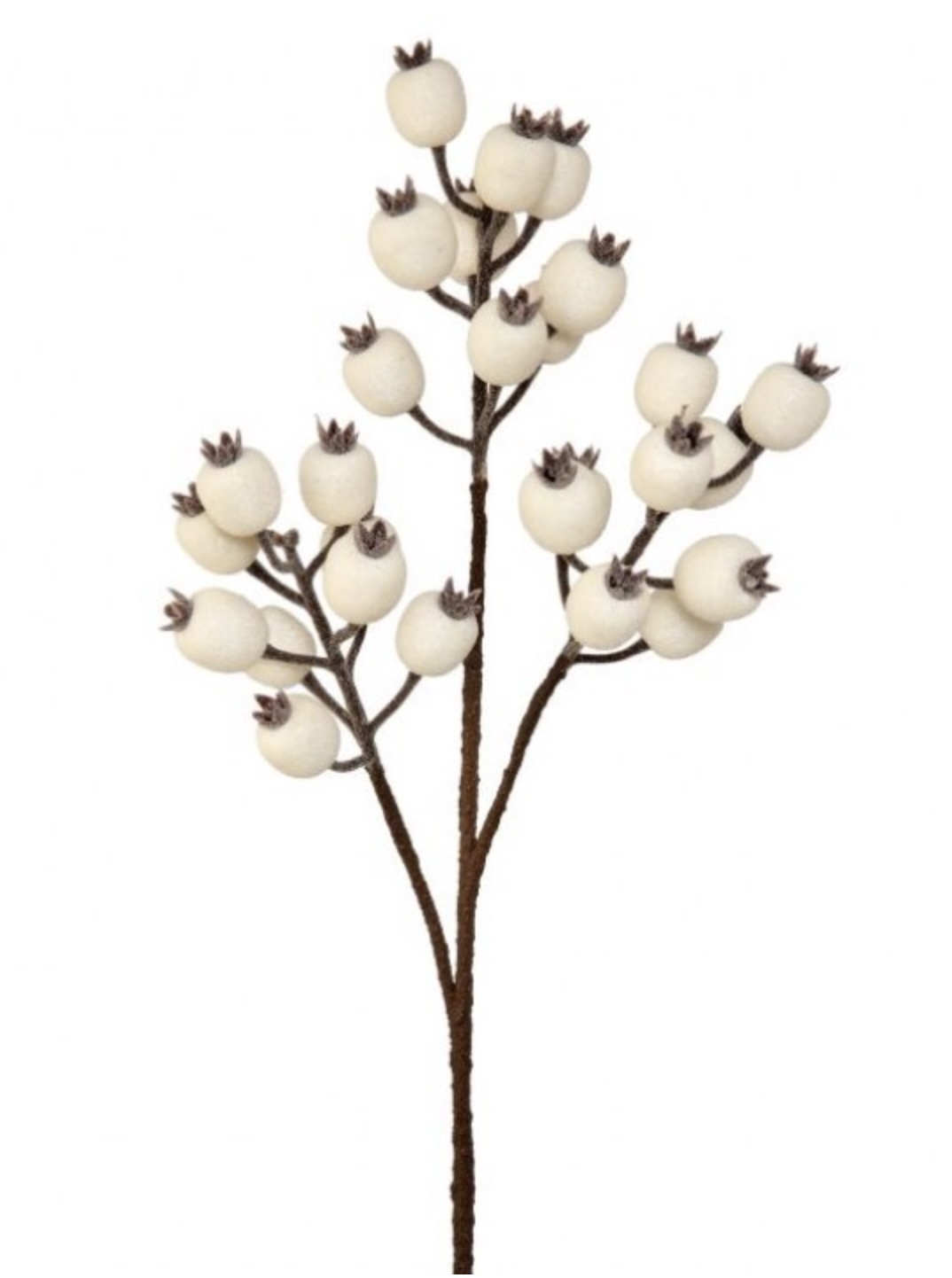 Icey Cream Waterproof Pomegranate Berry Spray 24"