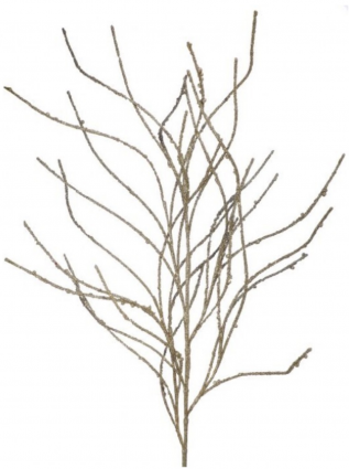 Gold Champagne Glitter & Sequin Wispy Willow Spray 47"