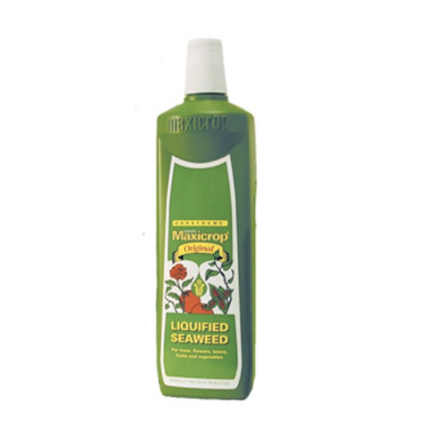 Maxicrop Original Liquid Seaweed 1 Qt