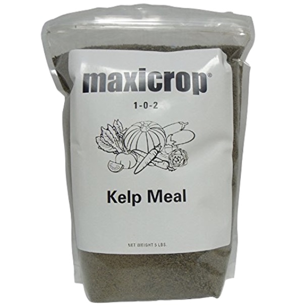 Maxicrop Kelp Meal 5 lb